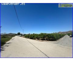 Finca Rústica en Cobatillas: Oportunidad Única para Inversores ????