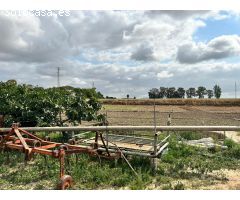 AMPLIA PARCELA PRÓXIMA A JEREZ CON 3 VIVIENDAS, NAVES Y TRASTEROS.