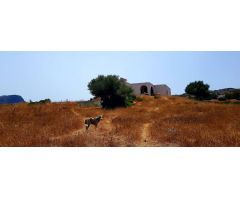 Se vende propiedad única en el campo