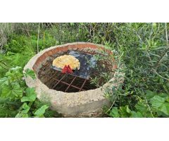 FINCA RUSTICA SEGREGADA EN ROCHE