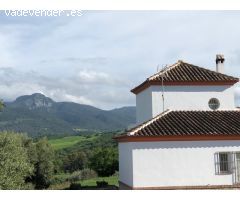 FINCA PANORÁMICA EN LA SIERRA DE CÁDIZ: NATURALEZA, ESPACIO Y LICENCIA TURÍSTICA