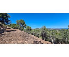 ▷Parcela de 5150 m2 en Oltamar Calpe con Vistas a la Montaña Costa Blanca Alicante