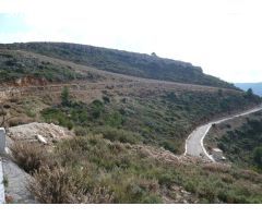 ▷Terreno para invertir Murla