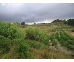 ▷Terreno Rustico en Teulada