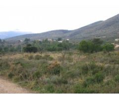 ✓Amplia Parcela Rustica en La Solana Costa Blanca Alicante