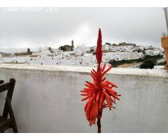 Alojamiento Turístico en rentabilidad