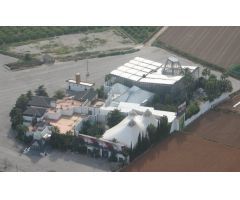 Locales en Venta  Sollana Valencia