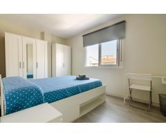 Pisos en Alquiler  Málaga Malaga