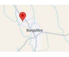 PAREADO OCUPADO a la venta en Burguillos