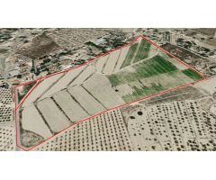 Parcela Agrícola en explotación