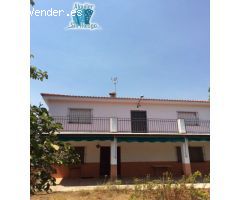 SE VENDE FINCA RUSTICA ZONA DE LA MONTAÑA