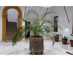 Se alquila apartamento en centro