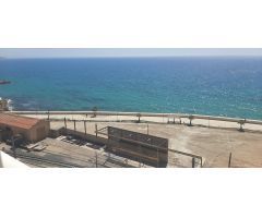 Pisos en Alquiler  Alicante Alicante