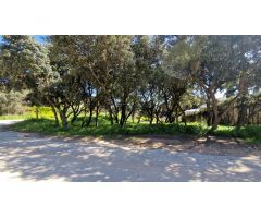 Se vende parcela en Eurovillas
