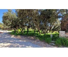 Se vende parcela en Eurovillas
