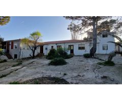 Se vende vivienda dividida en 10 apartamentos