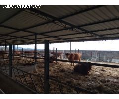 Se vende parcela con nave