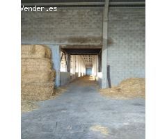 Se vende parcela con nave