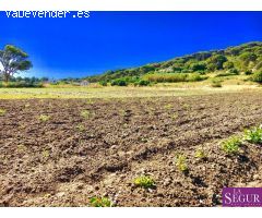 Estupendo terreno en San Ambrosio