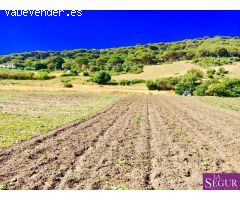 Estupendo terreno en San Ambrosio