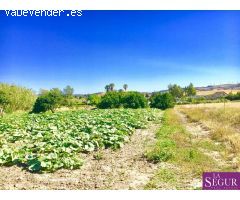 Estupendo terreno en San Ambrosio