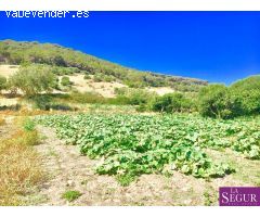 Estupendo terreno en San Ambrosio