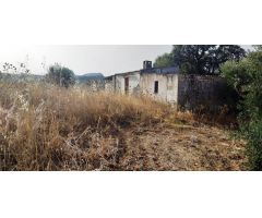 SE VENDE FINCA RUSTICA EN ALGODONALES