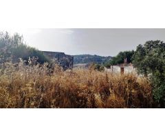SE VENDE FINCA RUSTICA EN ALGODONALES
