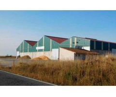 NAVE  INDUSTRIAL EN  BUSTILLO DEL PARAMO