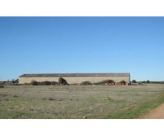 NAVE LOGISTICA EN SANTOVENIA DE LA VALDONCINA