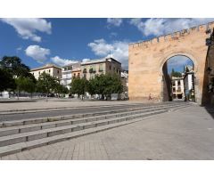 Locales en Alquiler  Granada Granada