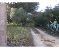 ESTUPENDA CASA EN TERRENO PRÓXIMA A VEJER DE LA FRONTERA