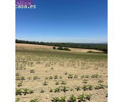 TERRENO RÚSTICO A 15 MINUTOS DE VEJER