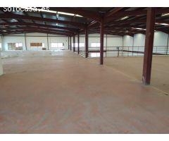 2.227 M2 - ELCHE PARQUE EMPRESARIAL