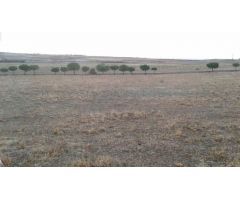 Urbis te ofrece una parcela DOTACIONAL en venta en zona Campo de Golf, Villamayor, Salamanca.