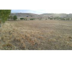 Urbis te ofrece una parcela DOTACIONAL en venta en zona Campo de Golf, Villamayor, Salamanca.