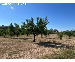 Terreno urbano de 3200 m2 en Barinas