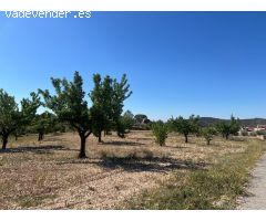 Terreno urbano de 3200 m2 en Barinas