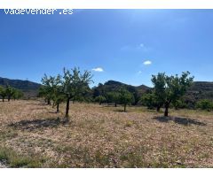 Terreno urbano de 3200 m2 en Barinas