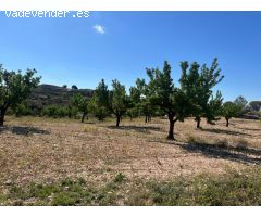 Terreno urbano de 3200 m2 en Barinas