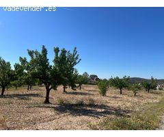 Terreno urbano de 3200 m2 en Barinas