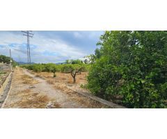 Gran terreno rústico para crear tu zona de ocio