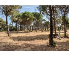 Casas en Alquiler  Calonge Girona