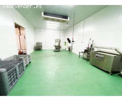 NAVE INDUSTRIAL EQUIPADA EN DURCAL