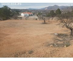 ¡¡¡Terreno de 6,000 m² con Vistas Panorámicas y Construcción en Proceso en Hondon de los Frailes !!!