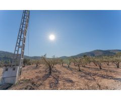 Parcela De Ensueño Con Vista Panorámicas A La Montaña