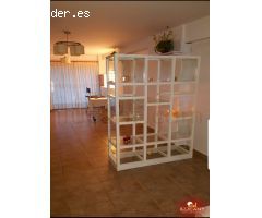Locales en Alquiler  Alicante Alicante