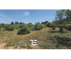 VENTA DE 3 PARCELAS AGRUPADAS CON POSIBILIDAD DE CONSTRUIR UNA VIVIENDA UNIFAMILIAR !!