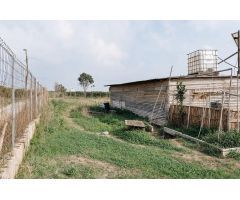 CABAÑA CON TERRENO EN ENTORNO NATURAL PROTEGIDO – MARJAL DE ALMARDÁ!!