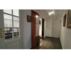 Pisos en Venta  Elche Alicante